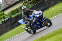 anglesey;brands-hatch;cadwell-park;croft;donington-park;enduro-digital-images;event-digital-images;eventdigitalimages;mallory;no-limits;oulton-park;peter-wileman-photography;racing-digital-images;silverstone;snetterton;trackday-digital-images;trackday-photos;vmcc-banbury-run;welsh-2-day-enduro